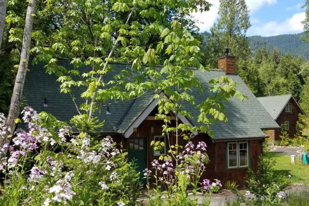 On The River Wooded Bliss Cabin Near Loloma McKenzie Bridge Exterior foto